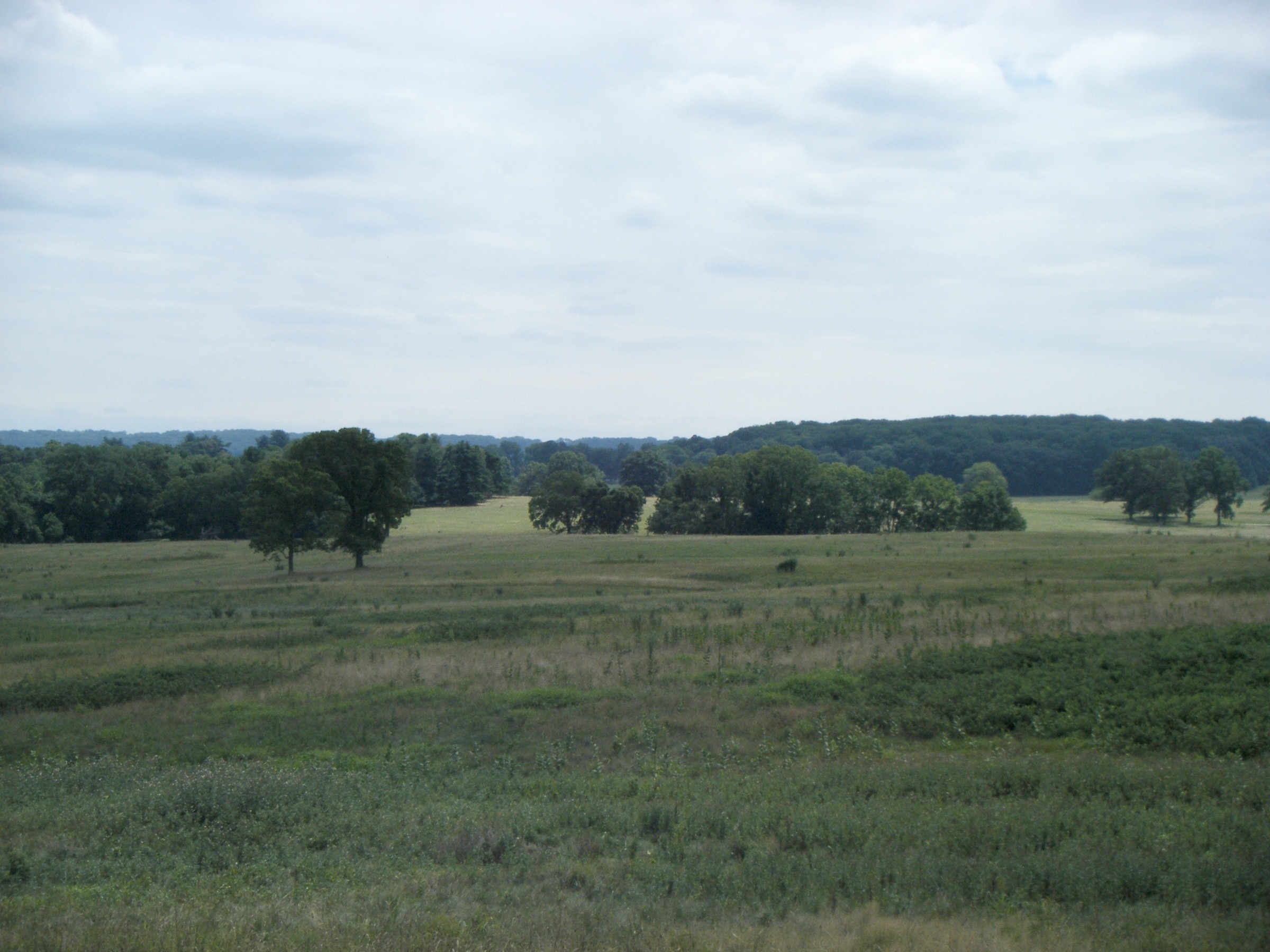 Open field at Valley Forge National Historical Park in Montgomery County, Pennsylvania